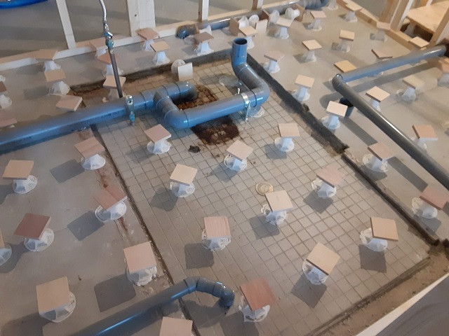 20210218_153529.jpg